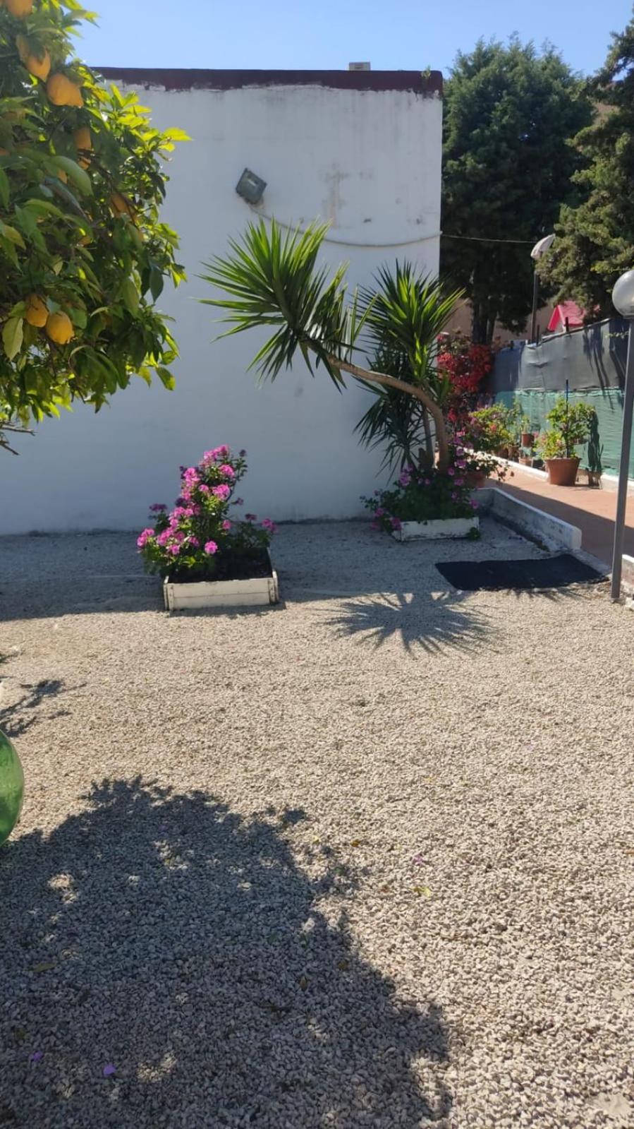 Garden Green Da Virna Torre Annunziata Luaran gambar