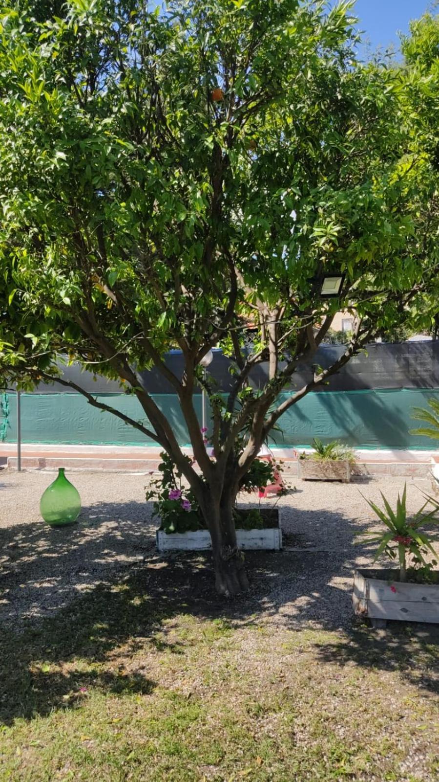 Garden Green Da Virna Torre Annunziata Luaran gambar