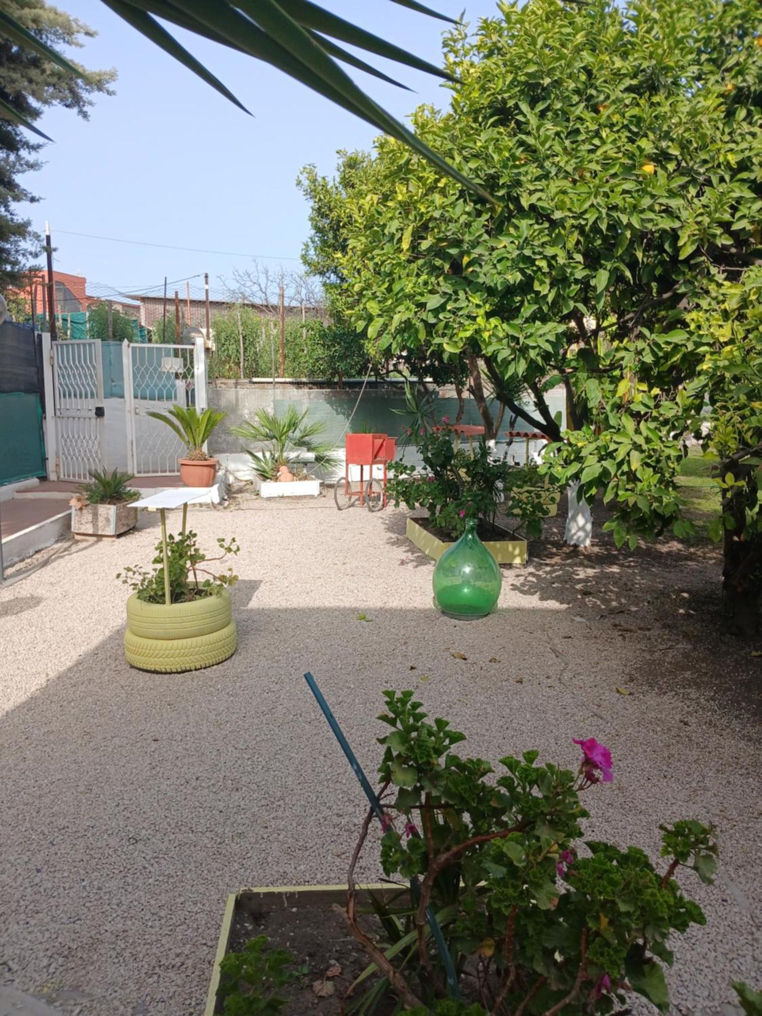 Garden Green Da Virna Torre Annunziata Luaran gambar
